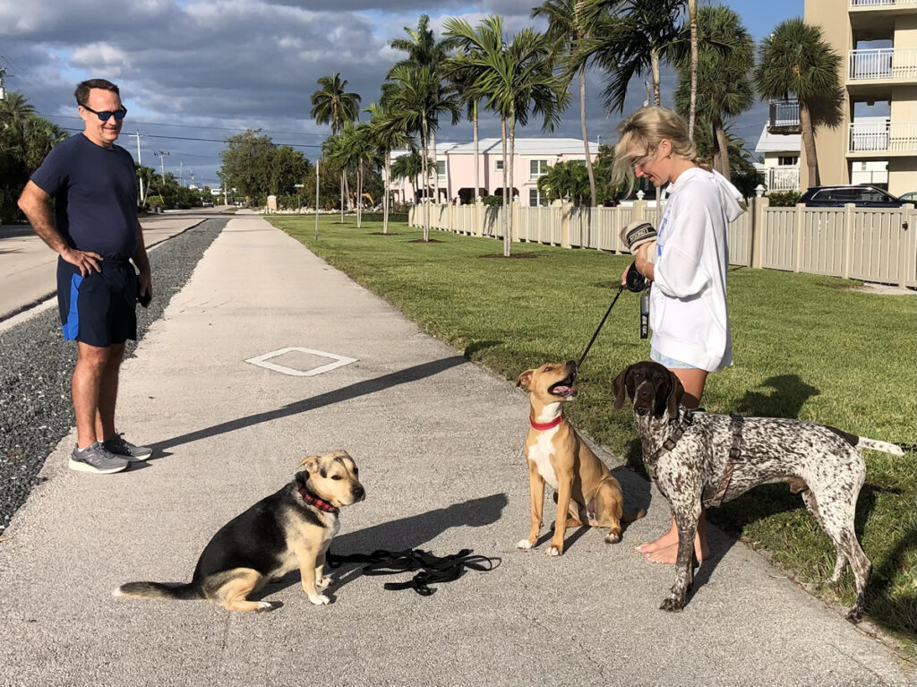 A man and woman with three dogs on a sidewalk, with palm trees and buildings in the background.